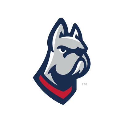 DeSales University