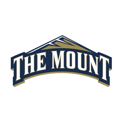 Mount St. Mary's University