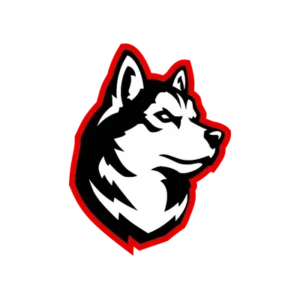 Northeastern University athletics logo