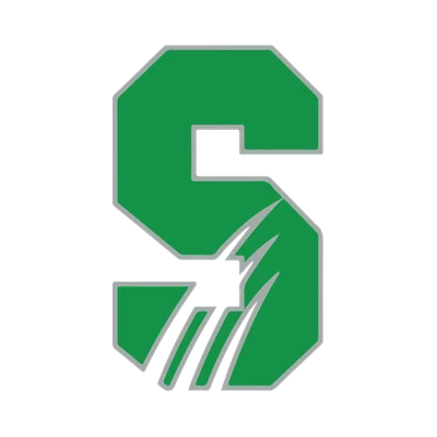 Salem International University
