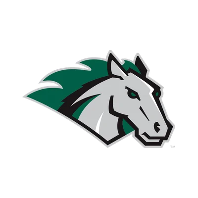 Stevenson University