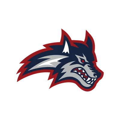 Stony Brook University