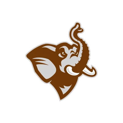 Tufts University