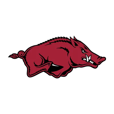 University of Arkansas