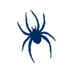 University of Richmond athletics logo