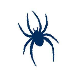 University of Richmond athletics logo
