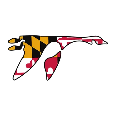 Washington College